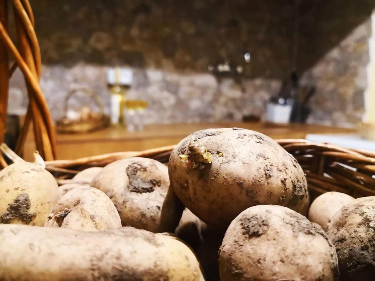 Casa Rural Los Organos De Arguamul فاليهيرموسو المظهر الخارجي الصورة