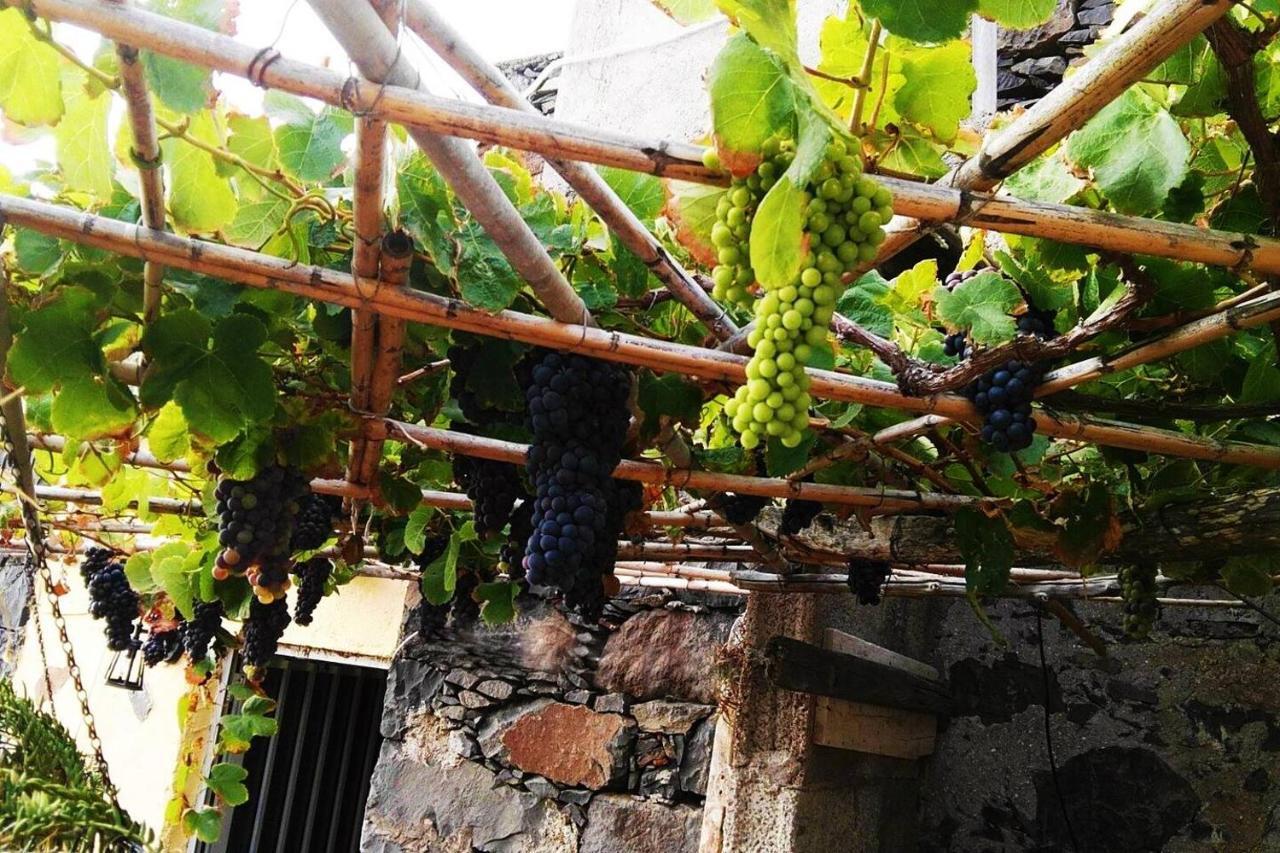 Casa Rural Los Organos De Arguamul فاليهيرموسو المظهر الخارجي الصورة